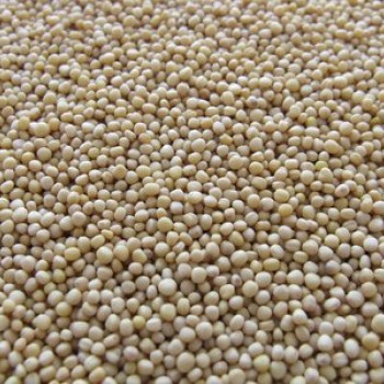 Spice White Pepper