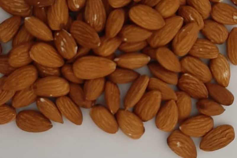 Almond is available on January 2020!